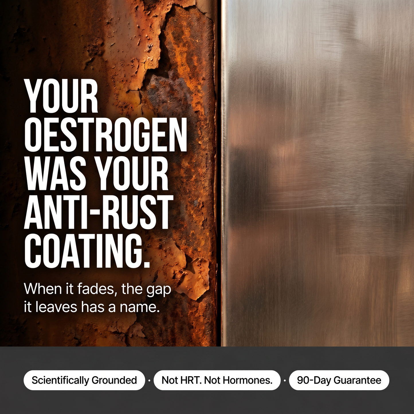 VitalCell™ — The Medical-Grade PEM/SPE Device That Addresses the Antioxidant Gap Your GP Cannot Measure